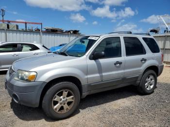  Salvage Ford Escape