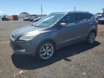  Salvage Ford Escape