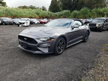  Salvage Ford Mustang