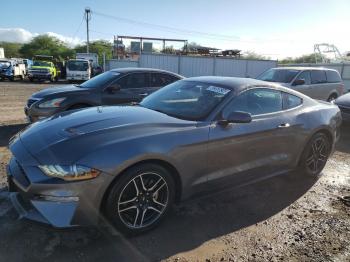  Salvage Ford Mustang