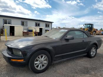  Salvage Ford Mustang