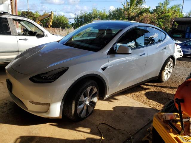  Salvage Tesla Model Y