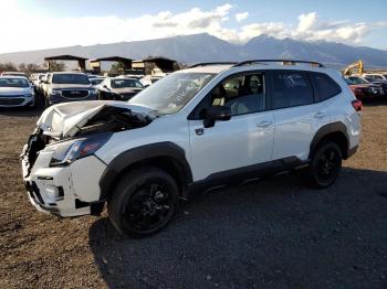  Salvage Subaru Forester