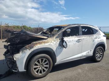  Salvage Lexus NX