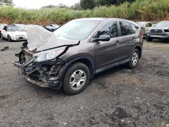  Salvage Honda Crv