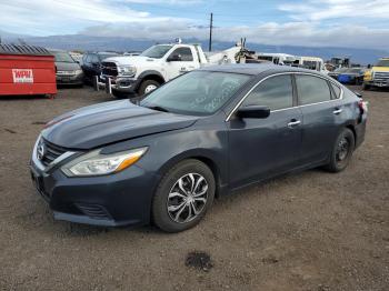  Salvage Nissan Altima