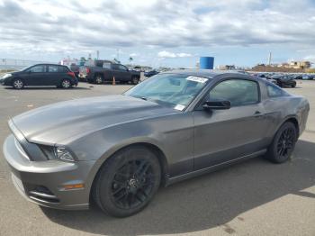  Salvage Ford Mustang