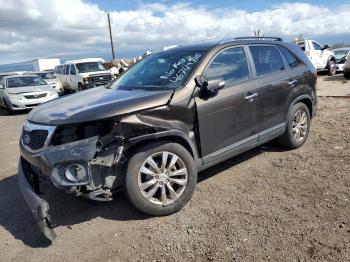  Salvage Kia Sorento