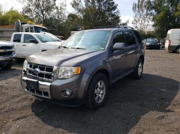  Salvage Ford Escape