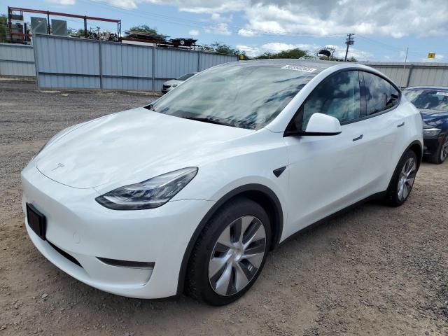  Salvage Tesla Model Y