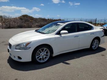  Salvage Nissan Maxima