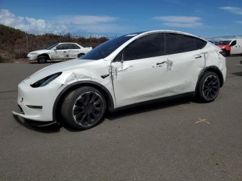  Salvage Tesla Model Y
