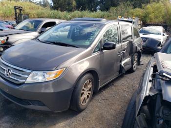  Salvage Honda Odyssey