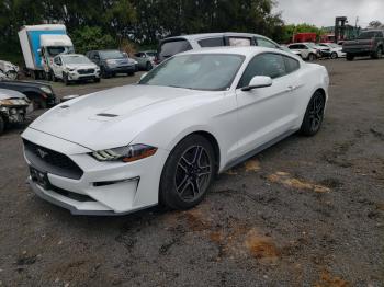  Salvage Ford Mustang