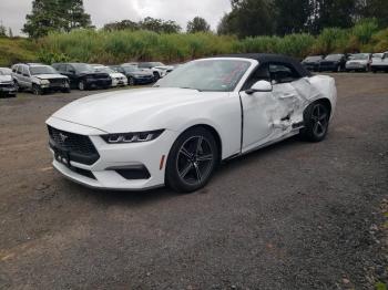  Salvage Ford Mustang