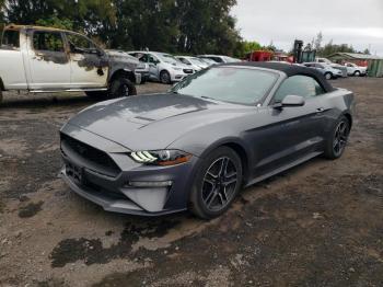  Salvage Ford Mustang