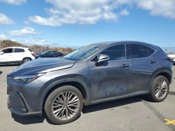  Salvage Lexus NX