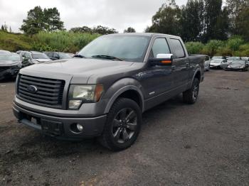  Salvage Ford F-150