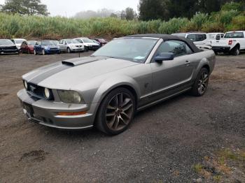  Salvage Ford Mustang