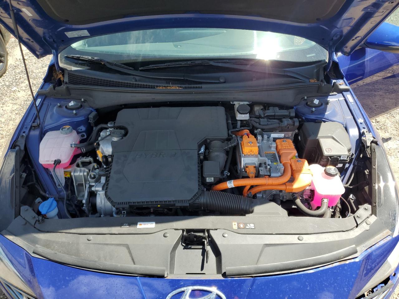 Hyundai ELANTRA Limited Image 5