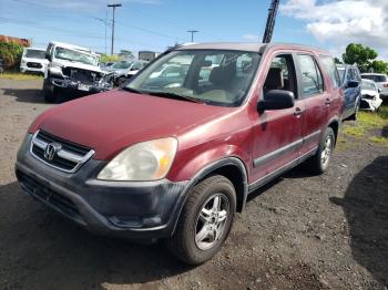  Salvage Honda Crv