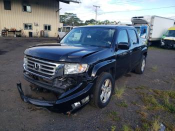  Salvage Honda Ridgeline