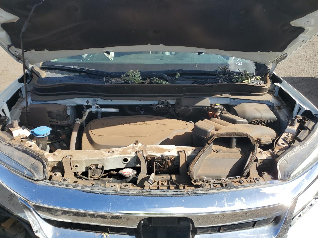 Honda Pilot Touring Image 10