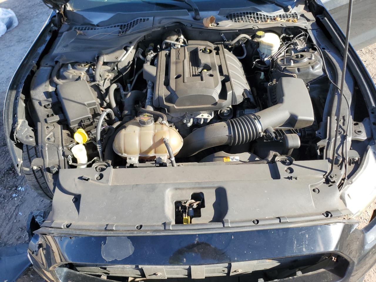 Ford Mustang Image 7