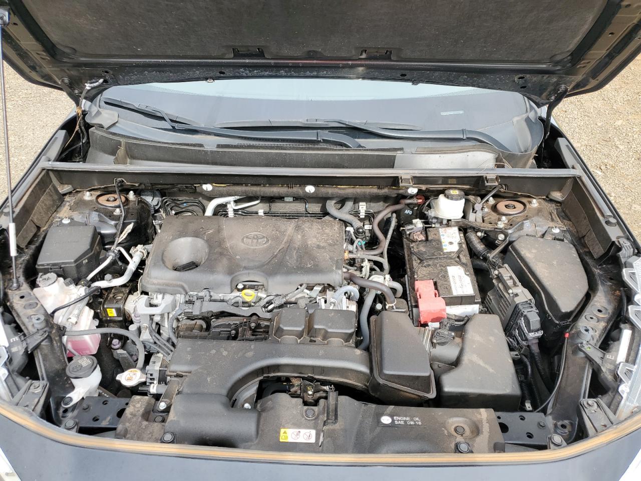 Toyota RAV4 Xle Image 10