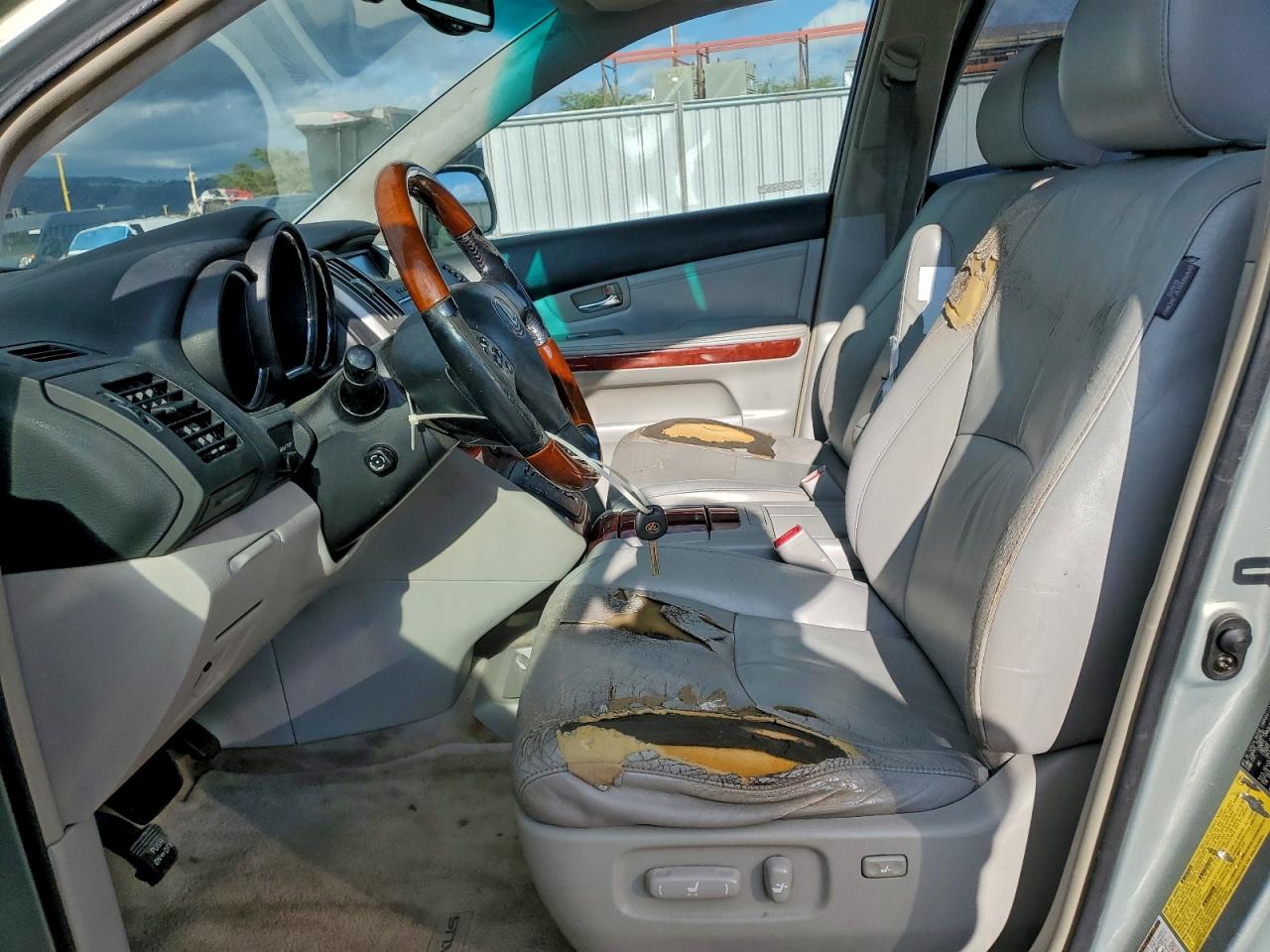 Lexus RX 330 Image 10