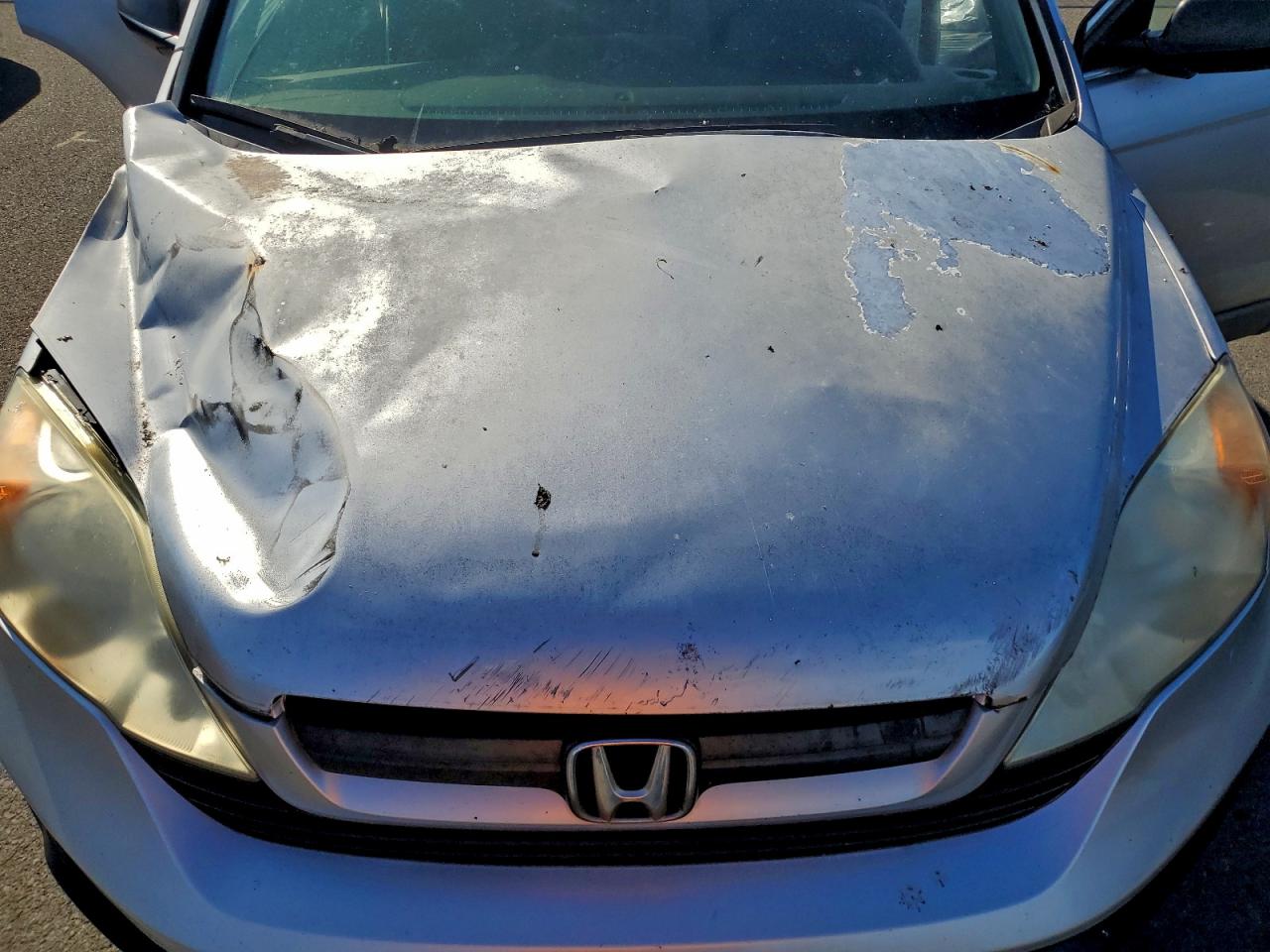 Honda Crv Lx Image 7