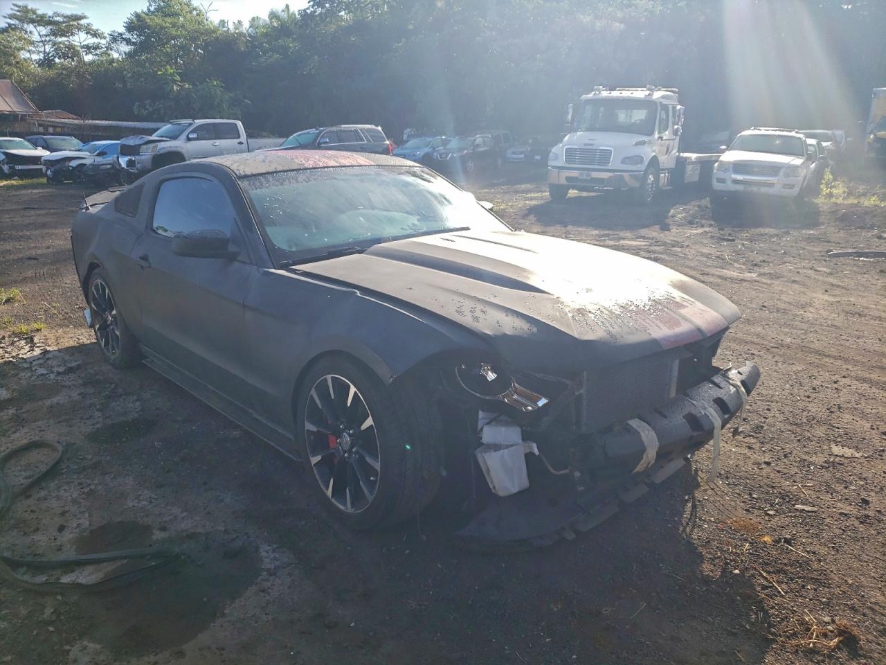 Ford Mustang Image 4