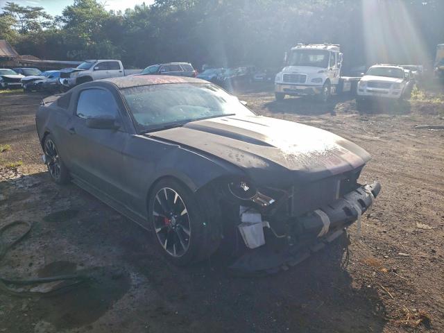 Ford Mustang Image 4