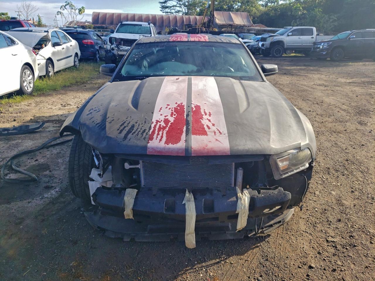 Ford Mustang Image 12