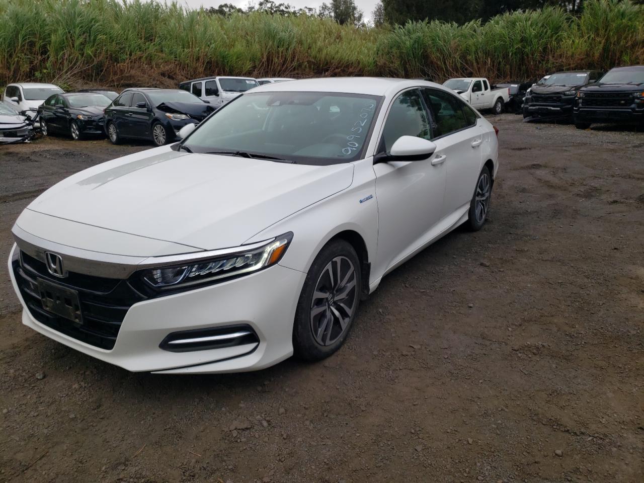 Honda Accord Hybrid Image 1