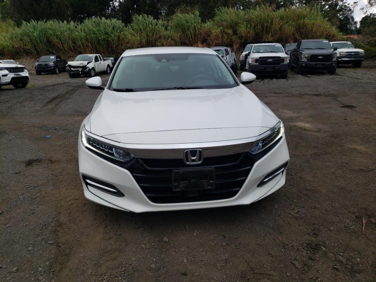 Honda Accord Hybrid Image 4