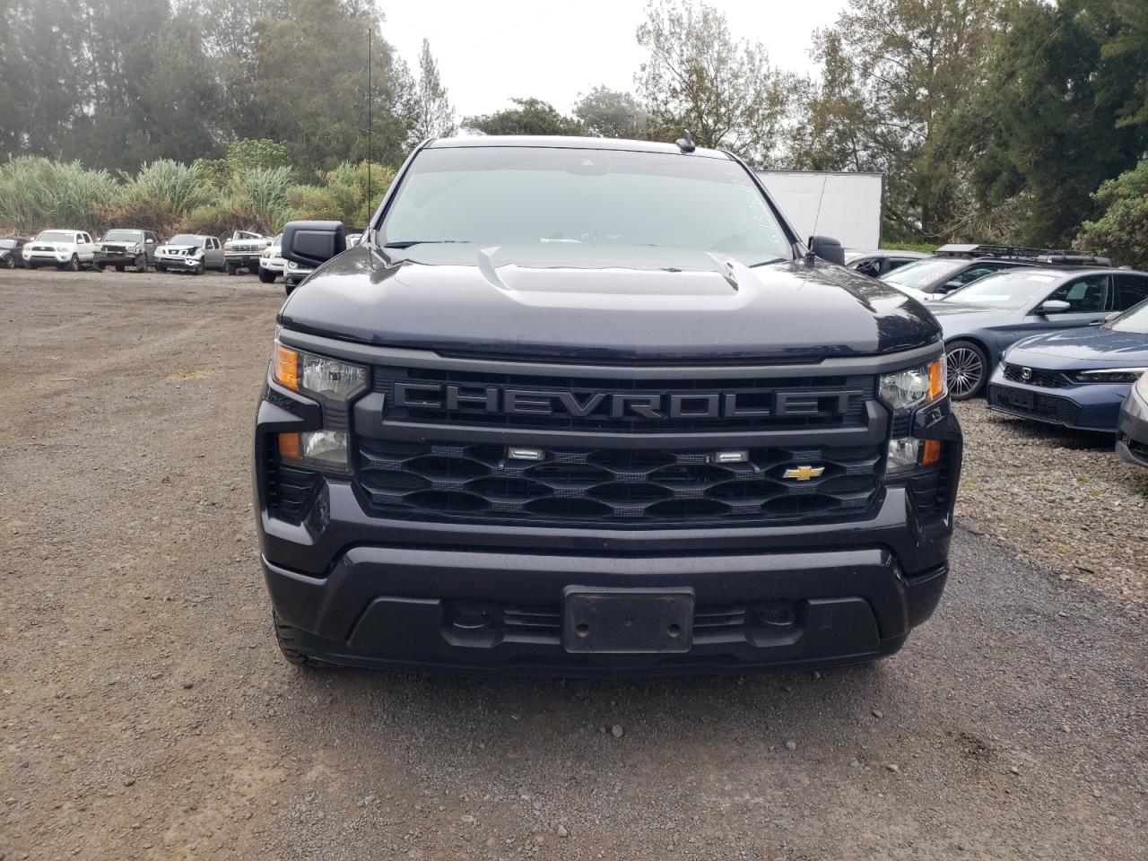 Chevrolet Silverado K1500 Custom K1500 Custom Image 3