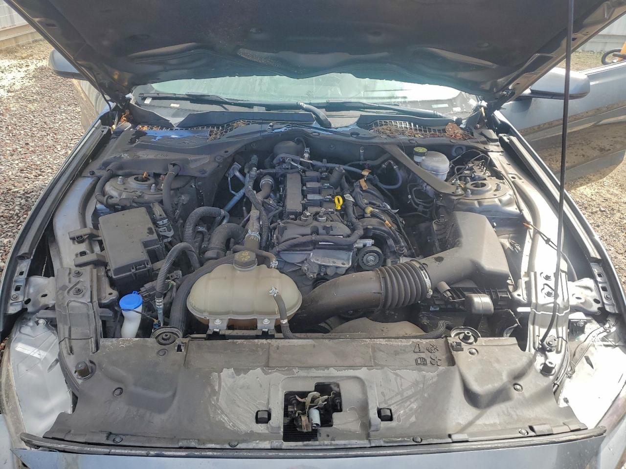 Ford Mustang Image 12